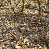 výsledok včerajšej prechádzky