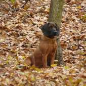 Učil som ho odloženie...