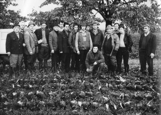 Polovačka na bažantov