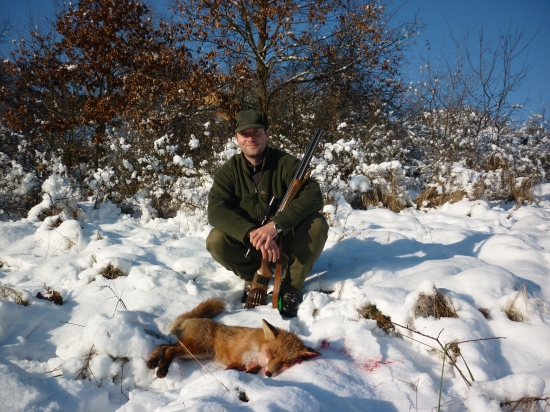 Sen sa stal skutočnosťou - 40. líška v sezóne.