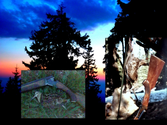 Moje najkrajšie jarné spomienky...