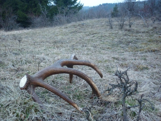 Ako z veľkej zhodárskej knihy.