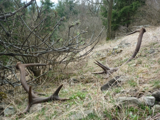 ...a ešte jedna skvostná pára.