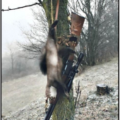 Nevšedný poludňajší úlovok