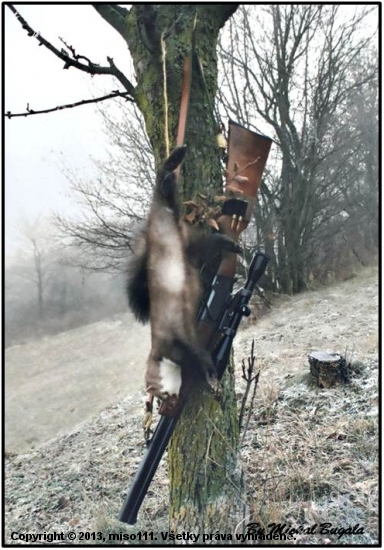 Nevšedný poludňajší úlovok