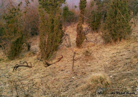 Konečne zišiel sneh...