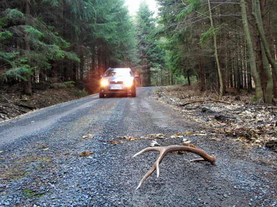 Keby som nepozeral na cestu, oddrapím nárazník :)
