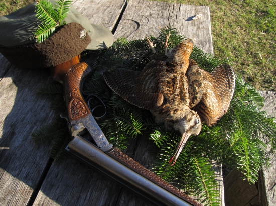 Najkrajší poľovnícky posol jari