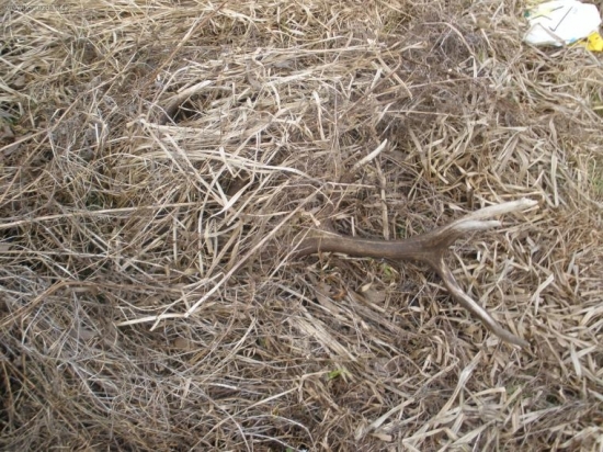 čakal na mňa celý rok