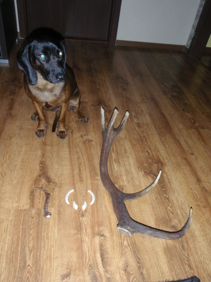 toto mi všetko našla a oznamila moja verná farbiarka