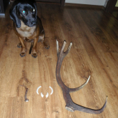 toto mi všetko našla a oznamila moja verná farbiarka