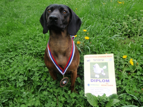 Tak toto sme nečakali...