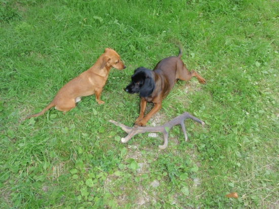 neboj nezoberiem ti ho