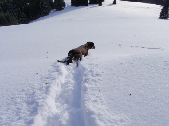 po stope farbiarky :-)