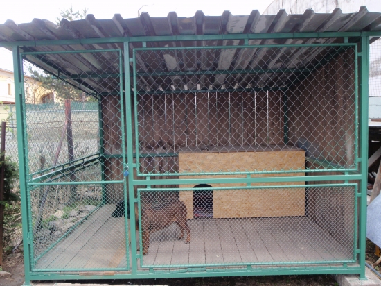 prechodný pobyt...čakáme na šteniatka