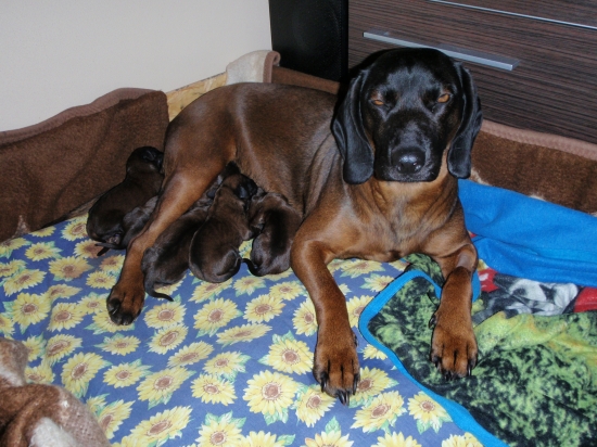 Už som spokojná maminka..