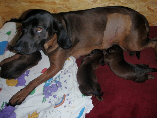 Zostali mi len tri :-( :-( :-(