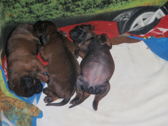 môžte mi všetci............