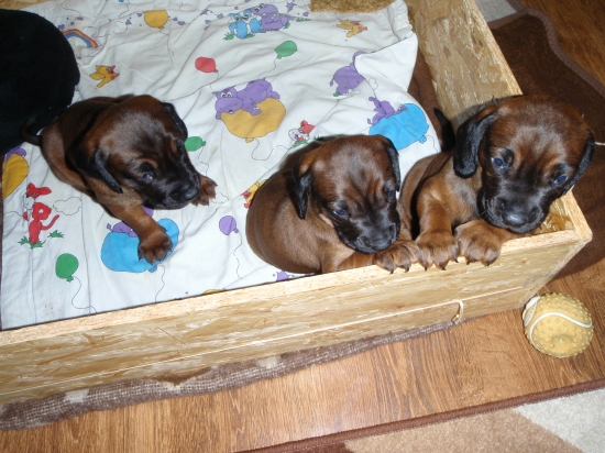 Tak už nás pustíte von.....