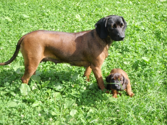 Mami...prečo túto trávičku papáš???