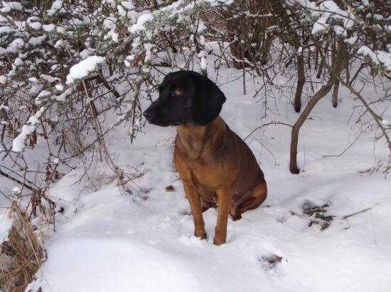 Axa Hrochotská dolina