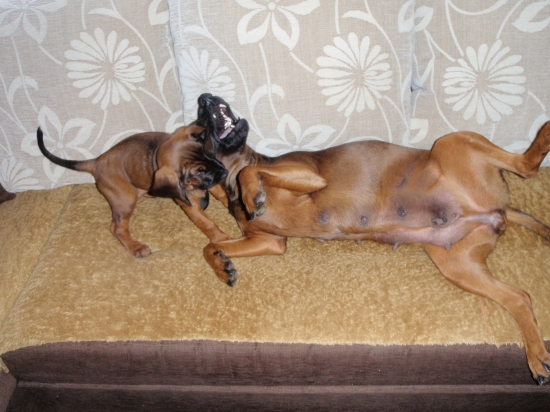 boj na život a na smrť!