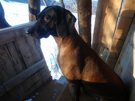 Zbadala diviaky-Axa hrochotská dolina