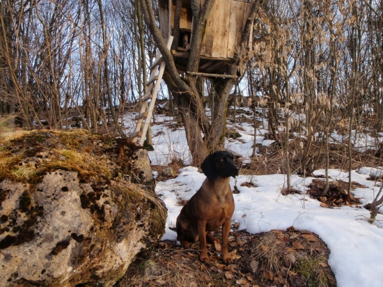 Axa hrochotska dolina