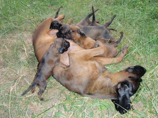 Najmenší sa zase vynašiel :-)