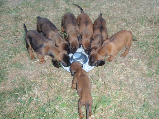 som smutný z najmenšieho :-(