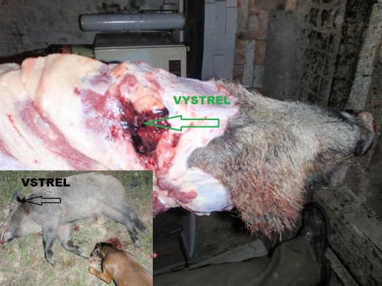 S&B XRG 10,2g   7x64