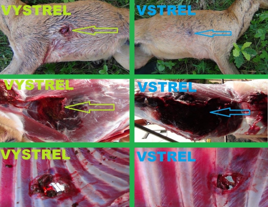 Barnes ttsx 9,1g 7x64