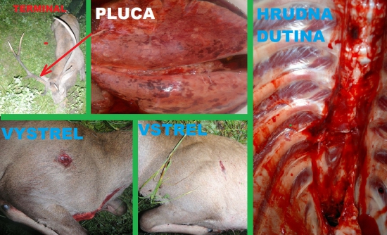 Barnes TTSX 9,1g 7x64