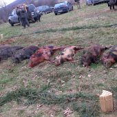 spoločná PZ.Briač