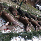 keď si vylosuješ dobrý štand