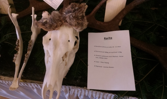 Z chovateľskej výstavy