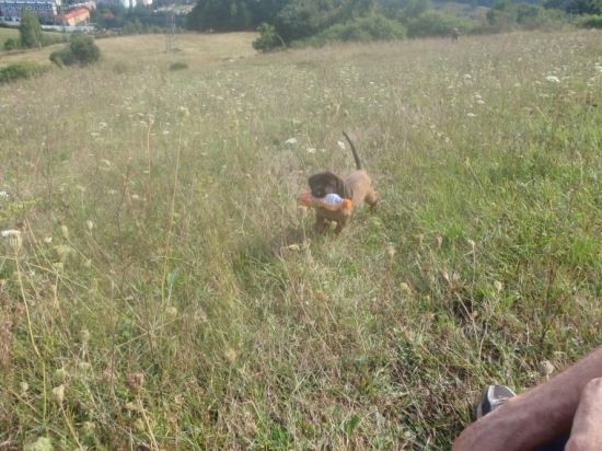 Moje dievčatko už nosí