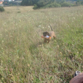 Moje dievčatko už nosí