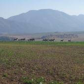 Ešte teraz tomu neverím