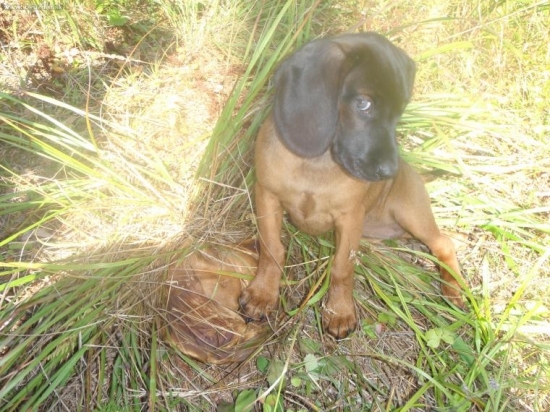 Herečka si drží dubáka