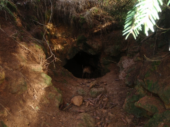 Kto sa pôjde pozrieť do tejto dierky??? farbiarka sa zježila štekla a zmizla...