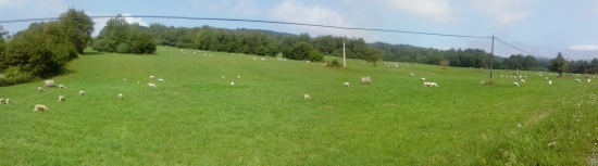 A ja bača