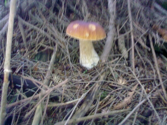 Môj prvy tohto roku!!