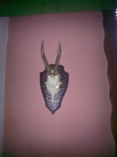 najdeny...a upraveny