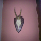 najdeny...a upraveny