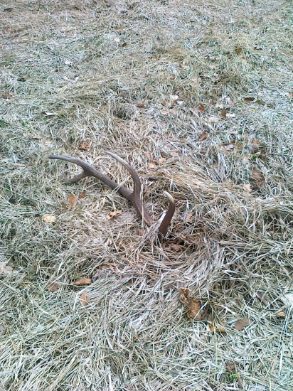 velkonočný potešil