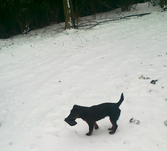 zatiaľ nosím ale neprinášam