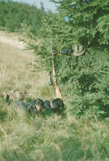 Aron  spod Kerlingu a Brok Lužno P.Z. Teplý potok