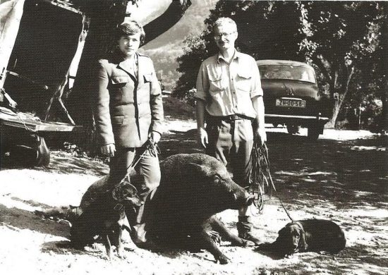 diviak z Lintichu 80-te roky