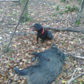 Jety opäť úspešný